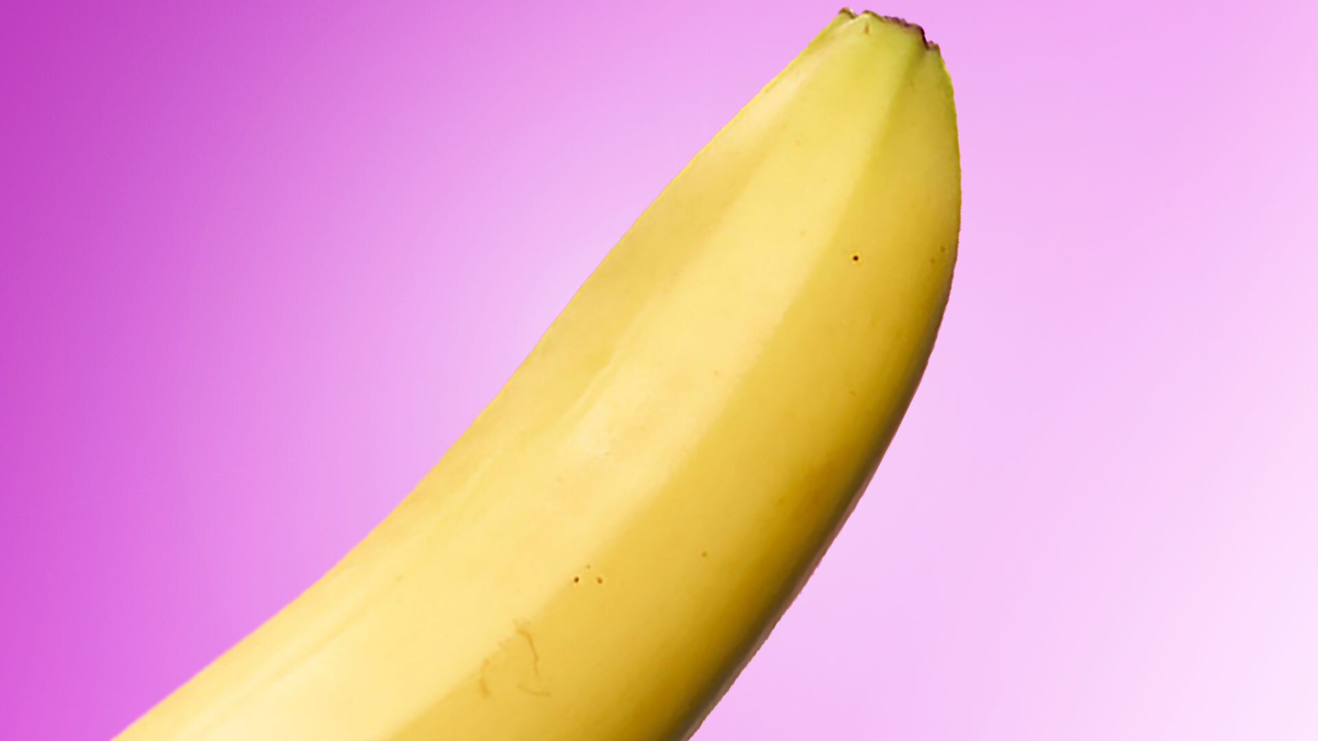 Transsexual dvds Strong gay bananas